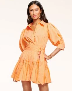 Dash Button Down Mini Dress